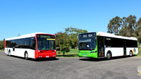 Queensland - Hornibrook Bus Lines