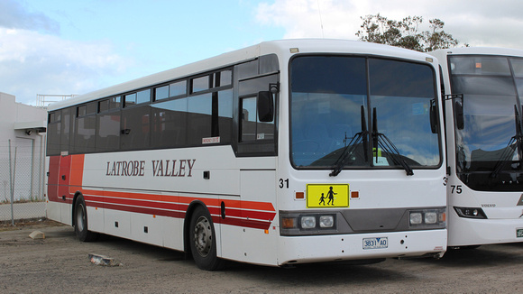 Latrobe Valley Bus Lines 31