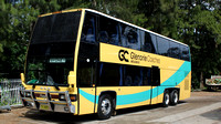 Nsw - Glenorie Coaches