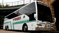 NSW - Forest Coach Lines - Terrey Hills