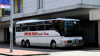 NSW - Peter Pan Coach Tours - Homebush