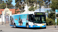 NSW - Keolis Downer - Northern Beaches - New 11.2022