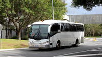 NSW - Sydney Bus Group - Homebush - New 11.2022