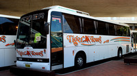 NSW - Tiger Tours - Caringbah